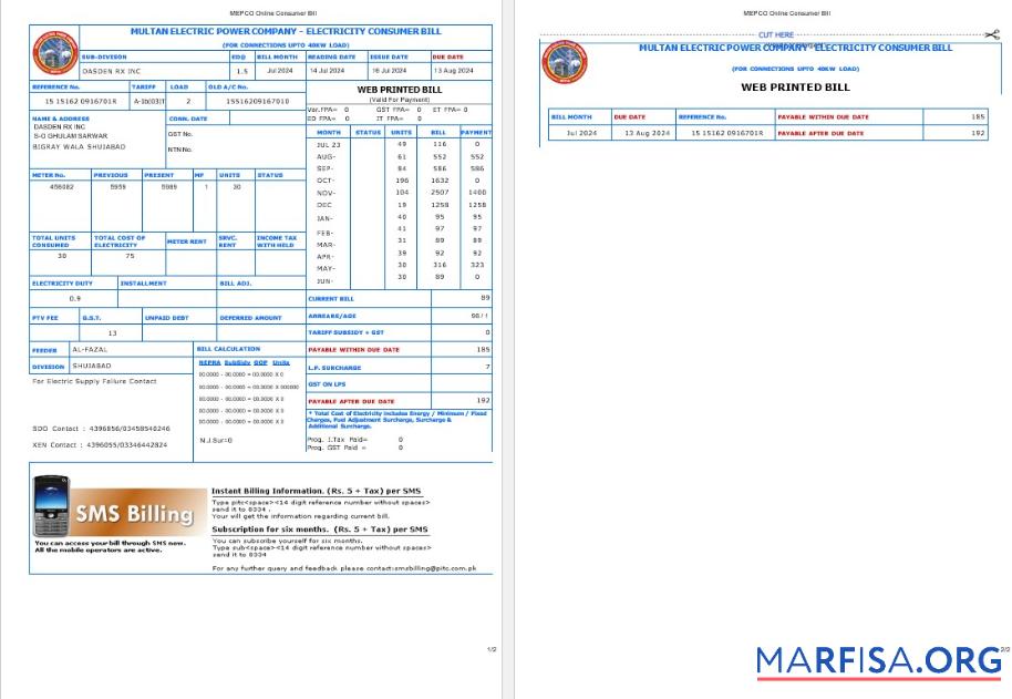 Blank PAKISTAN MULTAN ELECTRIC POWER business utility bill Word and PDF template